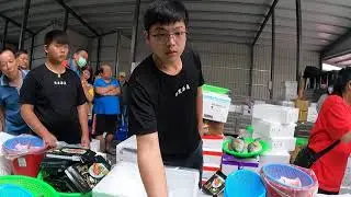 信宏一直換價格，姑姑生氣了，到底多少啦 中彰海王子海鮮拍賣台中東興市場海鮮叫賣