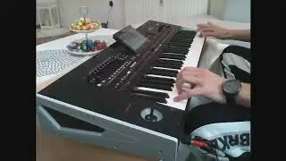 Mihajlo-Šaban Šaulic Korg pa4x