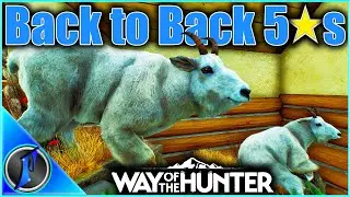 Flinter Shoots Back to Back 5 Star Mountain Goats on Stream!