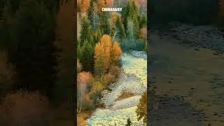 A dreamlike oil painting world in Xinjiang