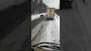 Лось совершил кувырок и выжил.....
