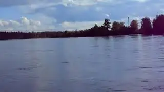 КРАСИВЫЕ  ПЕСНИ   О ЛЮБВИ (5) ...  💟ИРЕНА (баян)