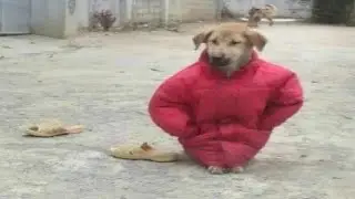 Типичный мод на манунт