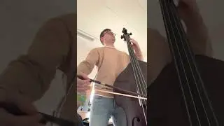 W.A.Mozart - Die Zauberflöte, double bass excerpt