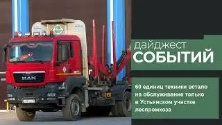 “Сезонка” началась