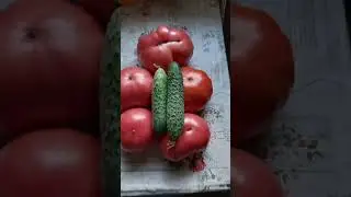 9.2часть.Фермеры продают,то что сами выращивают, а жители покупают#овощи#фрукты#молочноепроизводство
