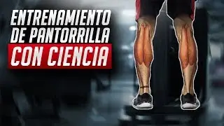 El mejor entrenamiento de pantorrilla / CIENTÍFICAMENTE COMPROBADO