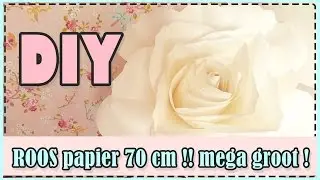 💕 DIY: zelf MEGA grote roos van papier maken!! giant rose tutorial / doe het zelf!