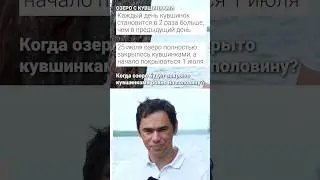 🔢 Логическая задача про озеро и кувшинки #реальнаяматематика #математика