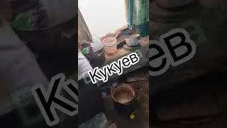 сравнение квартиры в Рязани и Киеве , румтур