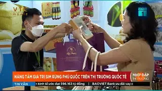 VTC MEDIA TRUYỀN THÔNG VỀ RƯỢU SIM RỪNG PHÚ QUỐC TRÊN TRUYỀN HÌNH