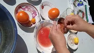 Как подготовить семена из домашних томатов