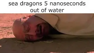 dragon survival slander