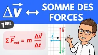Velocity change vector and sum of forces | 1st year | Physics