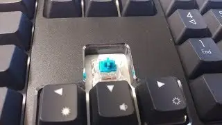 Acer Predator Aethon 500 Typing Sound (Kailh Blue Switch)