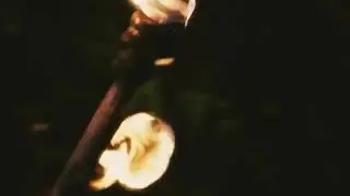 Эмма и Крюк