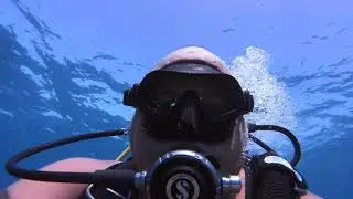 Diving Tenerife 06.08.2023