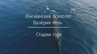 Стадии горя
