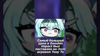 Какой Самый Большой Нанесенный Урон в Genshin Impact?  - Факты