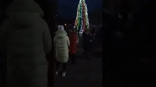 Угледар - новый год - елка в парке 59 с