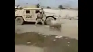 Армейские приколы Американская армия