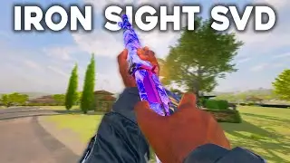 Sniping with the iron sight SVD