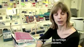 Peut-on soigner avec des cellules?