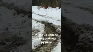 7 ноября 2023 г.