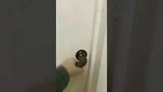 туториал как открыть дверь