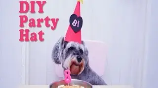 DIY Quick & Easy Party Hat