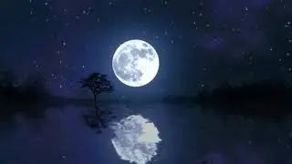 New Best Relaxing,mind refreshing music,Sleeping,Stress relief music,meditation music-10 minute