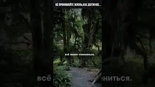 Не принимайте жизнь, как должное! В одно мгновение все может измениться...