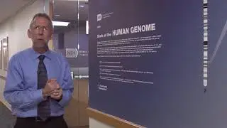 Scale of the Human Genome (with animations) - Eric Green