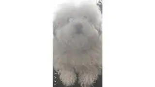 October May (Instrumental Tribute to Teddy)