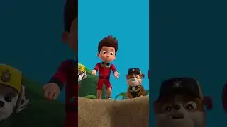 Humdinger zit vast op Schildpaddeneiland! - #PAWPatrol Nederlands #Shorts