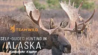 Self-guided Moose & Caribou Hunting in Alaska: Episode 8 - The Moose of a Lifetime