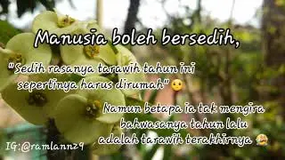 Story Wa terbaru 2020 | story wa Islami biki n sedih | story wa bikin baper |story wa menyentuh hati