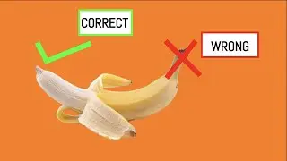 how to EAT FOOD CORRECTLY