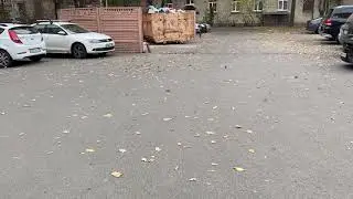 Autumn dance