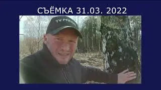 В лидском районе продолжают травить лес отходами На этот раз - свои