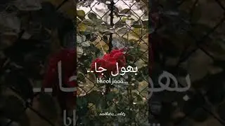 lines🥀💫Aesthetic_editz #urdulover #newsong#trending#sadsong#aestheticlove#humtvdrama#haniaamir#love