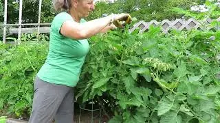 #201 Garden x 2 | We got rain the day after I finished this.