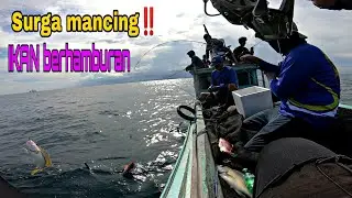 mancing dasaran - REEL MENJERIT DI HAJAR IKAN Part 2