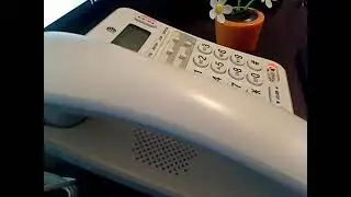 World's Most Private Voice Assistant meets ChatGPT