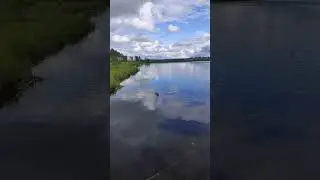 бобёр заплыл в гости😇 #душакарелии #рыбалка #деревня #fishing #красота #природа