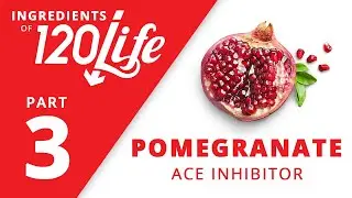 Pomegranate - Ingredients of 120/Life