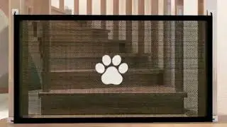 🔥 Versatile Usage Safety Pet Door, only $13.91🎁 #cat #dog #cats #dogs