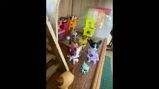 Нигу #4
