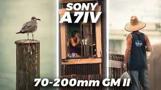 Sony A7IV Photography POV | Sony 70-200 mm GM II