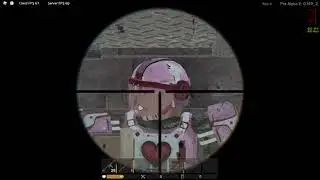 headshot hitbox
